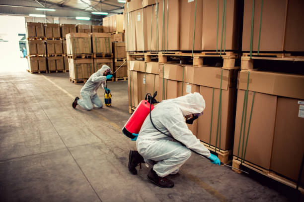 Best Bed Bug Extermination  in Moulton, AL