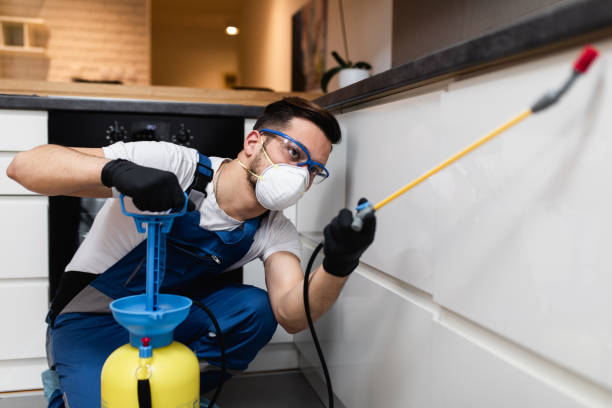 Best Cockroach Control Services  in Moulton, AL