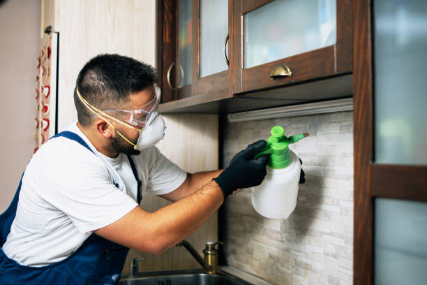 Best Termite Control Services  in Moulton, AL