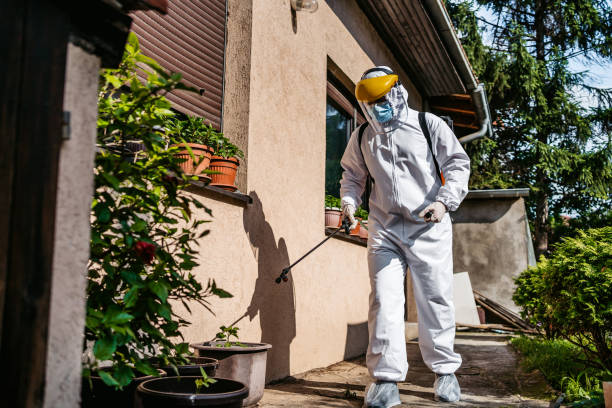 Best Insect Control  in Moulton, AL