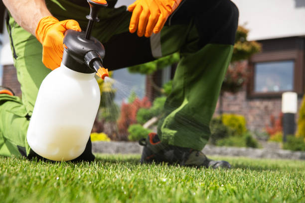 Best Affordable Pest Control Services  in Moulton, AL