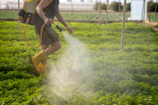Best Pest Control Near Me  in Moulton, AL