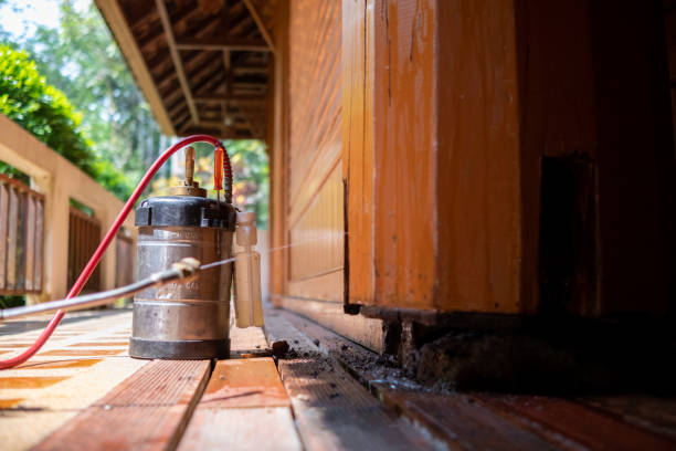 Best Pest Removal Services  in Moulton, AL