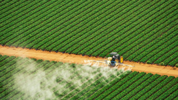 Reliable Moulton, AL Pest Control Solutions