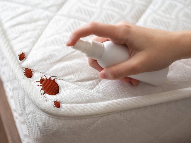 Best Exterminator Services  in Moulton, AL