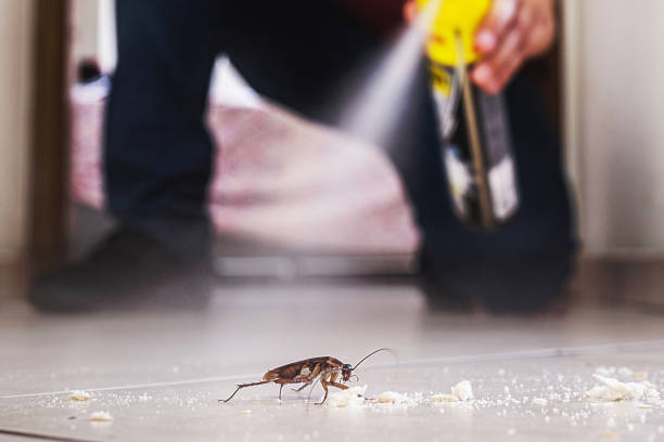 Best Exterminator Services  in Moulton, AL