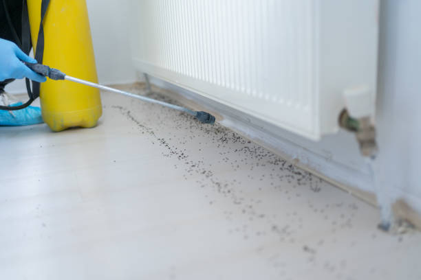 Best Commercial Pest Control Services  in Moulton, AL